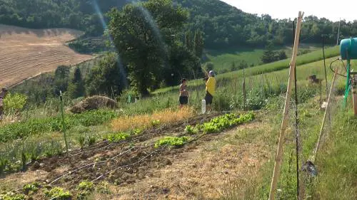 La rivoluzione degli eccentrici si coltiva nell'"orto urbano"