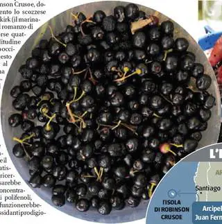 L'ultimo cibo "miracoloso" è un piccolo supermirtillo