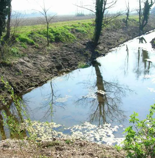 Gli antichi fontanili per bagnare Expo