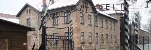 "Ad Auschwitz saresti stata attenta" La frase choc della prof all'alunna ebrea