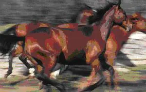 MEMENTO AUDERE SEMPER