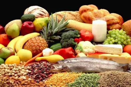 Expo, Milano alla ricerca dei migliori imprenditori dell'agroalimentare 