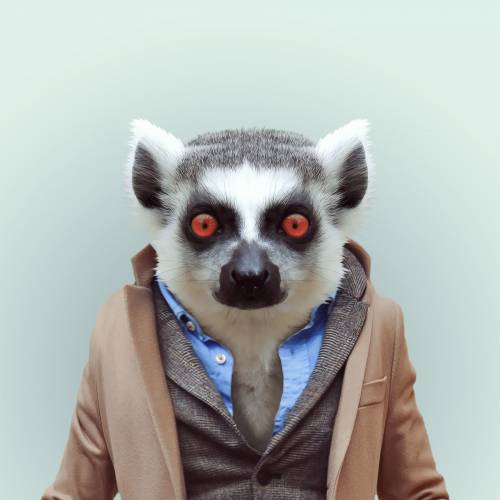 Avete mai visto animali vestiti da esseri umani?