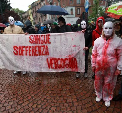 Animalisti all'università: Rettore e Cnr li denunciano
