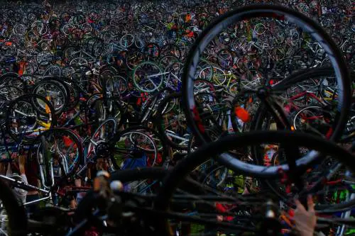 "The March of Living" contro l'inquinamento