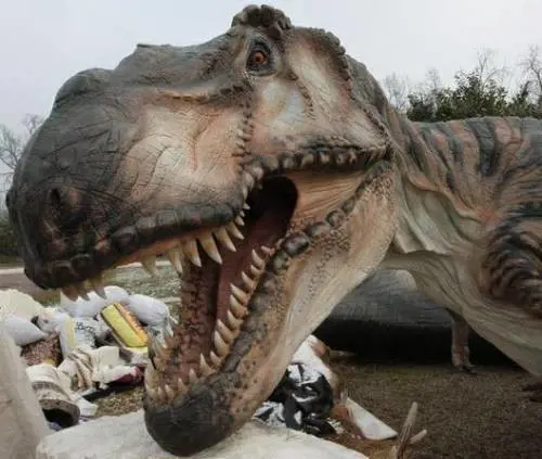 Negozi chiusi e mostre aperte Primo maggio, ecco cosa fare