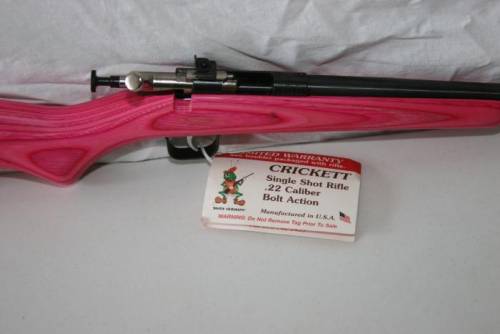 Crickett, il fucile per bambini che ha ucciso una bambina di due anni