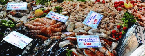 Slow Fish serve il piatto di «pesce povero»