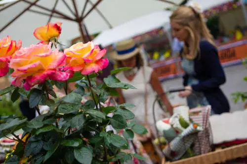Fiori e mondanità: è sbocciata Orticola