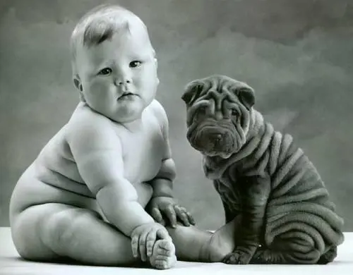 Vuoi un cane grosso? Allora devi essere grasso