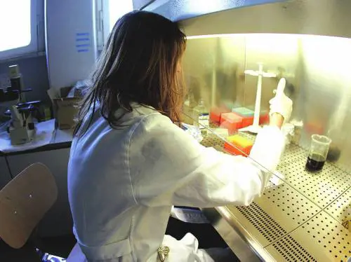 Stamina, il Comitato scientifico: "Dosi adatte a topi, non all'uomo"