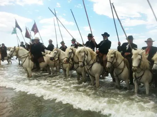 Pellegrini da tutto il mondo per Santa Sara. La Camargue risuona di ritmi gitani
