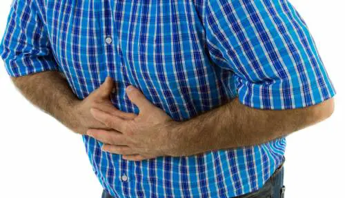 Una buona digestione comincia dal cervello