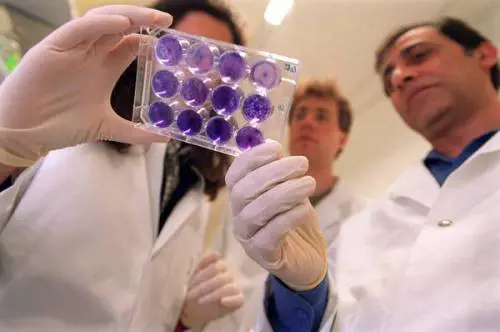 Nuova Sars, primo caso segnalato in Italia