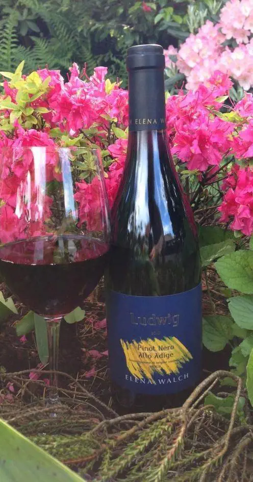 Ludwig 2010 sbaraglia i Pinot Neri