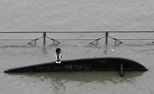 Alluvione a Praga