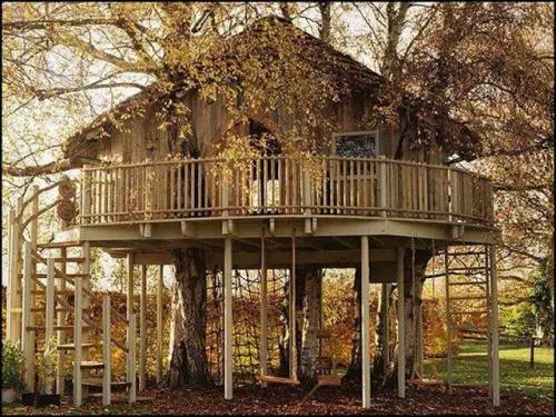 Chic, ecologica e no-Imu: ecco la casa sull'albero