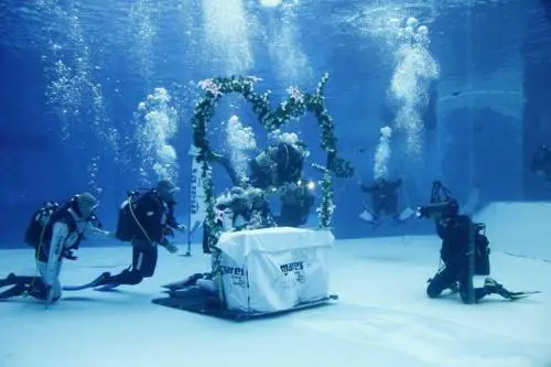 Epidemia di matrimoni burini Il più kitsch costa dieci milioni