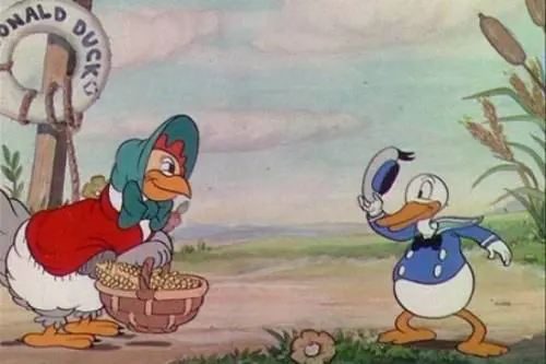Il primo "qua qua" del papero più sfortunato del mondo