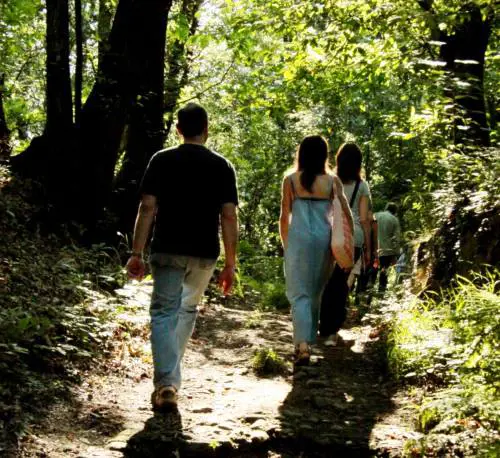 Il teatro d'avanguardia sulle colline della BrianzaFestival Il Giardino delle Esperidi