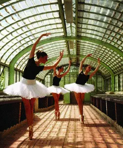 Danza «scaccia crisi» tra i fiori e sotto le stelle