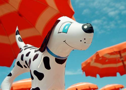 L'agenda delle vacanze adesso la «detta» Fido