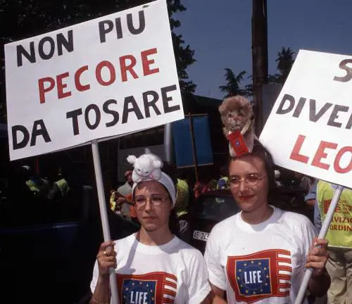 Le imprese a caccia dei debitori affossate dalla «trappola Monti»