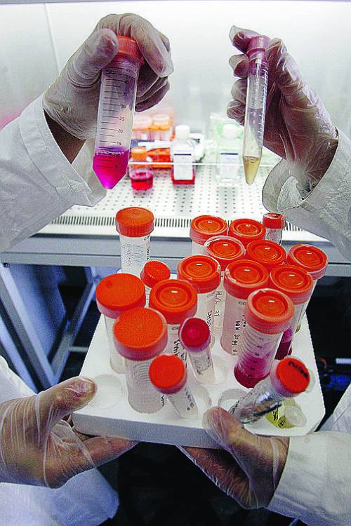 Alcune provette che contengono cellule coltivate in laboratorio