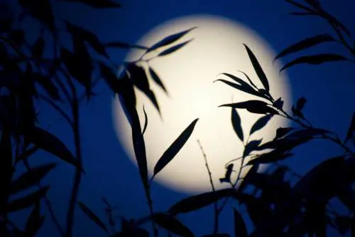 La Luna più bella dell'anno