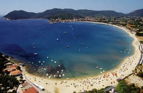 Sempre più meduse Invasione all'Elba: feriti cento bagnanti