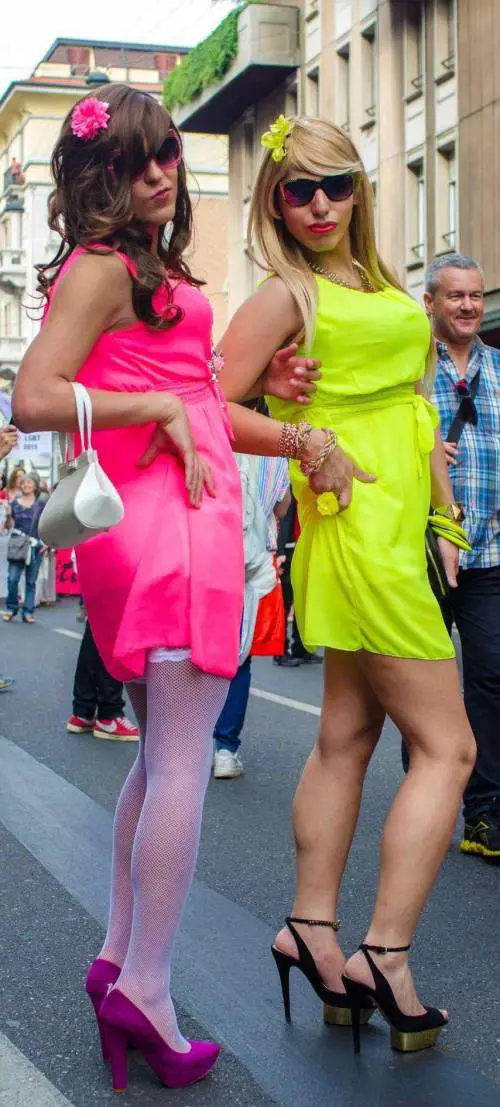 Se gay e rom mascherano la realtà