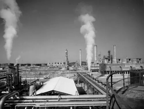 Quella sinistra (falsamente) liberale