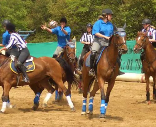 Torna l'horseball, la partita di basket in sella ai cavalli