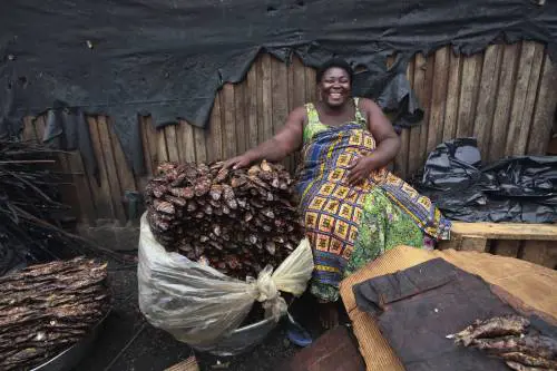 Zimbabwe, viaggio ad Abidjan
