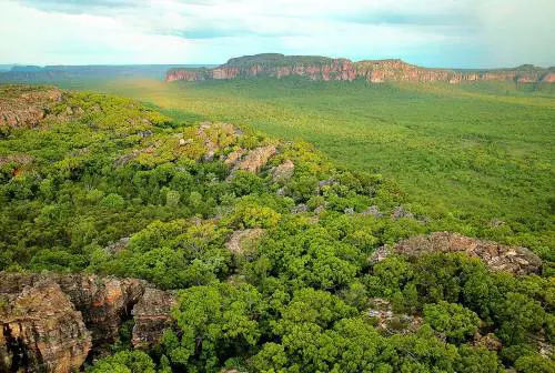 Bush australiano, dove la natura dipinge un museo a cielo aperto