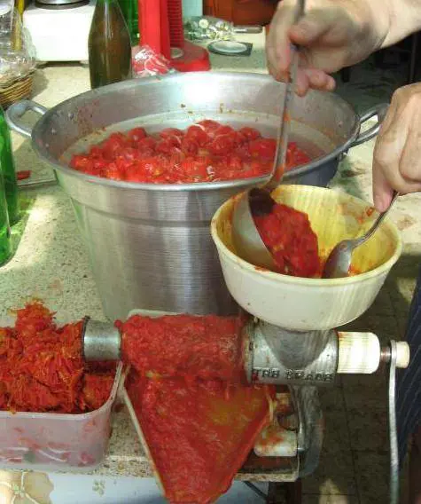 Adesso le signore milanesi tornano a scuola di conserve