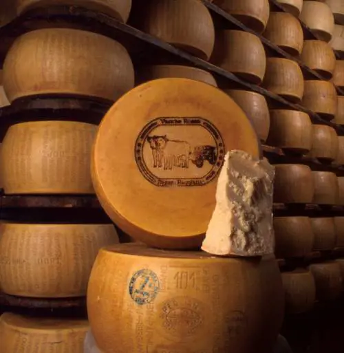 Solo una forma su un milione: ritrovato miracolosamente il Parmigiano del secolo scorso