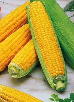 Altro che «biologico è bello» La vita è una guerra chimica