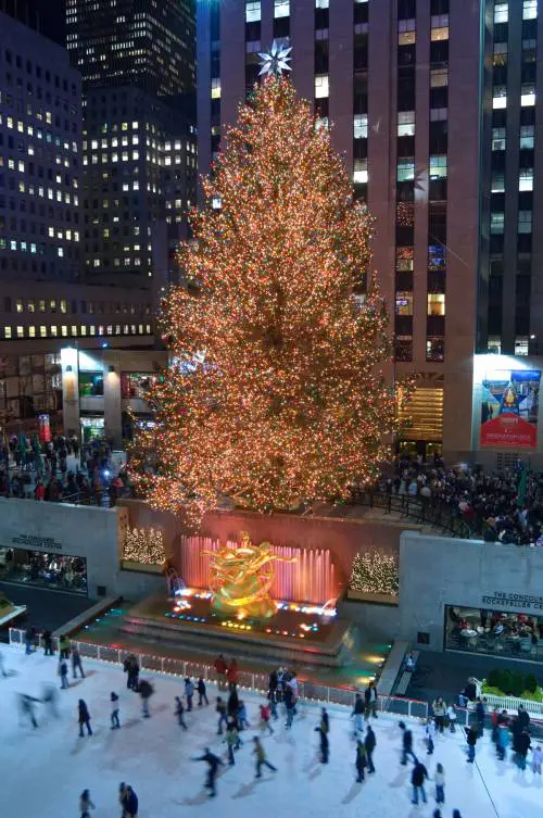 Shopping e cultura a New York e Miami