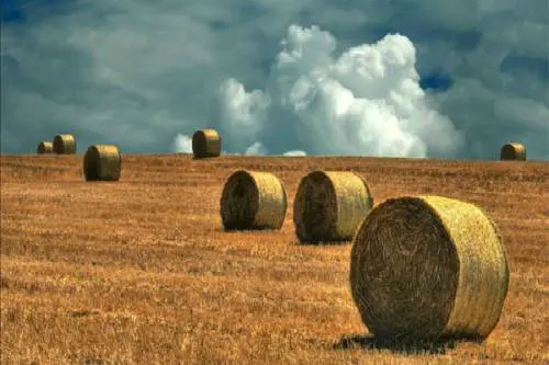 Agricoltura, un mestiere antico che dà lavoro ai giovani