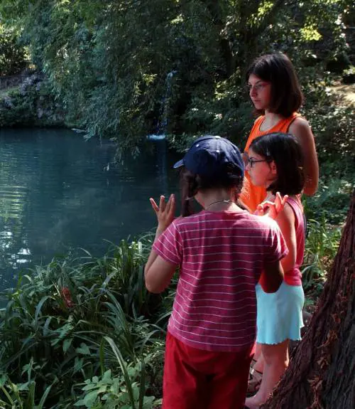 Il giardino da sogno diventa un incubo tra i topi e le zanzare