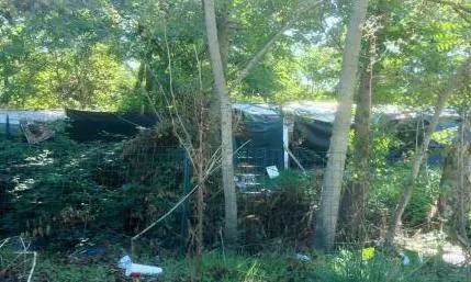 Baracche in via Cima «Villaggio di nomadi  fra topi e spazzatura»