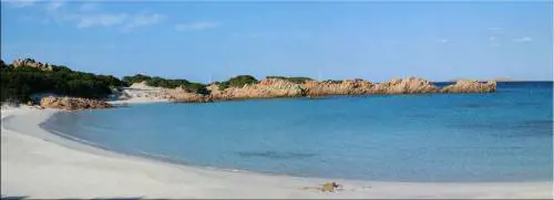 Tre milioni per la spiaggia rosa Budelli diventa neozelandese