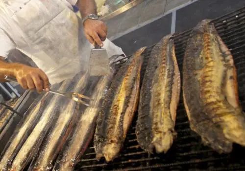 Ingoia anguille vive per guarire una stipsi: rischia di morire