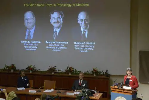 Nobel per la medicina a scoperta trasporto molecole cellule