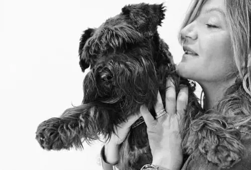 Una merenda con i cani maltrattati