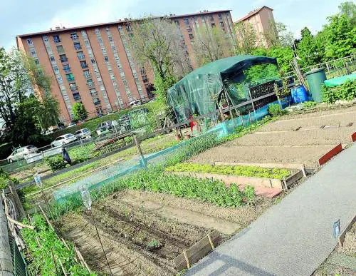 Stangata sugli orti dei pensionati