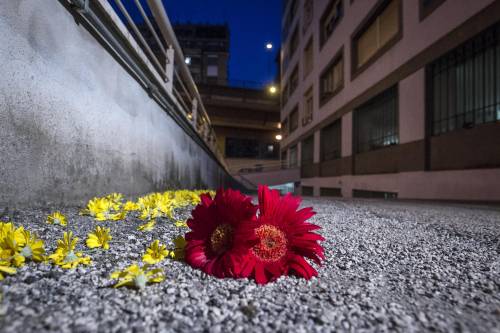 Roma, fiori sul luogo del suicidio