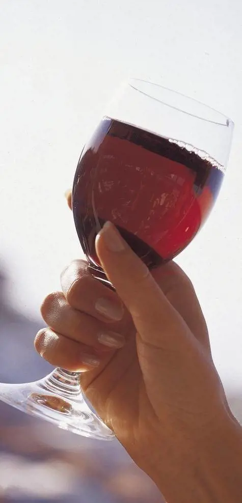 La più antica cantina mai scoperta