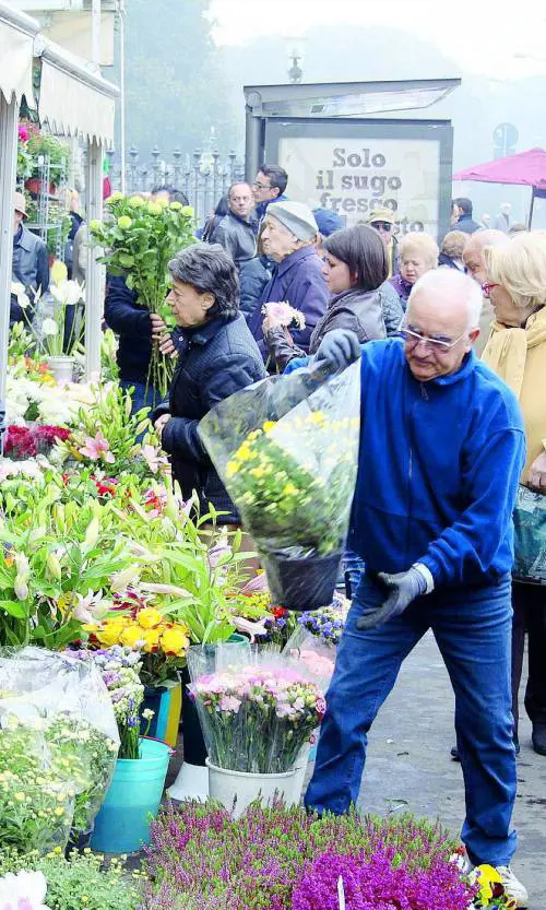 Concorrenza sleale: guerra di crisantemi davanti ai cimiteri